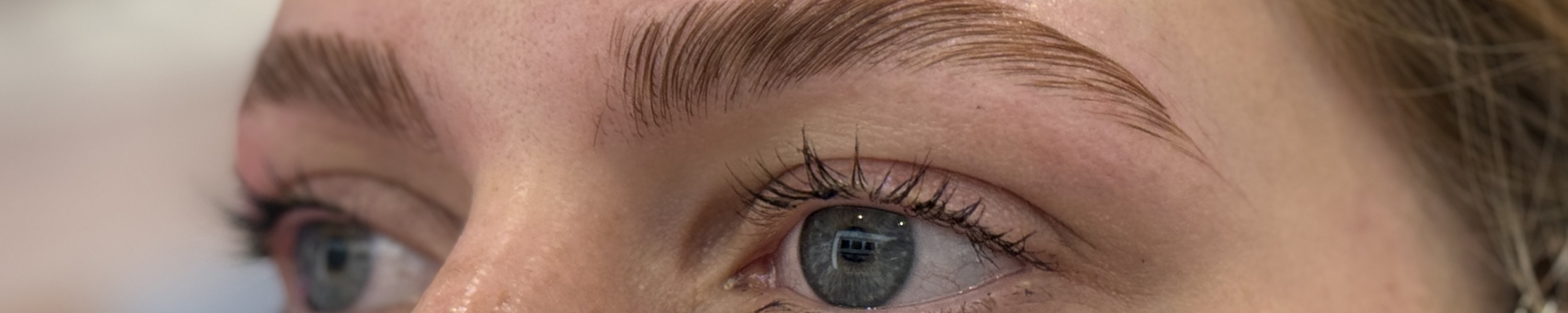 Freshly shaped brows and eyes